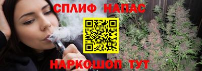 сатива Будённовск