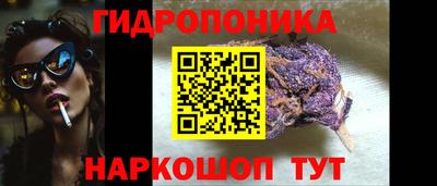 сатива Будённовск