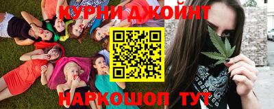 сатива Будённовск