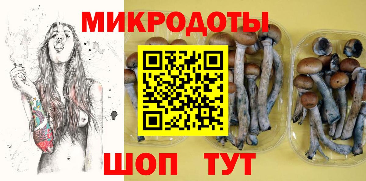Псилоцибиновые грибы Cubensis Сергиев Посад