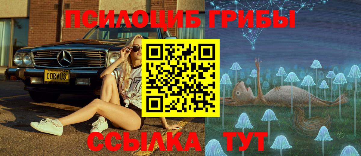 Псилоцибиновые грибы мухоморы  Вход с VPN  Сергиев Посад 